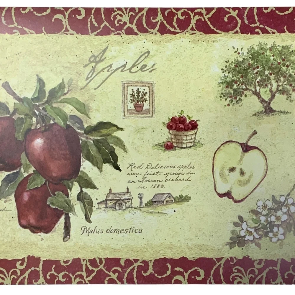 Apple Pear Orchard Placemats  Reversible Easy Care Farmhouse Set of 4 Red Green